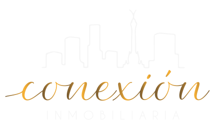 Logo Conexion